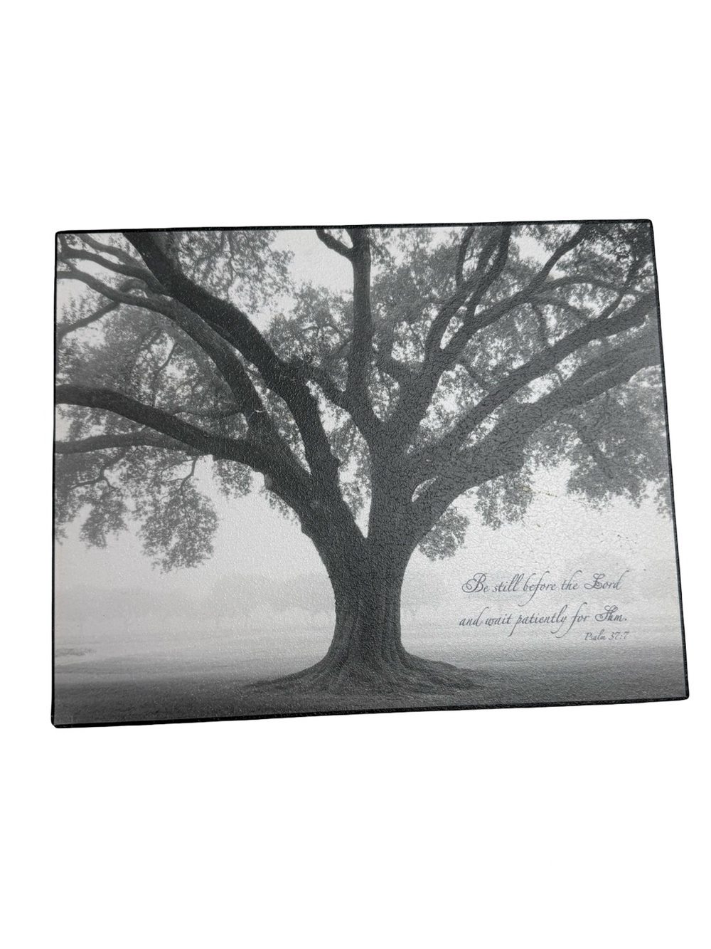 Inspirational Religious Oak Tree Monochromatic Tree Home Decor on Wood Wall Art
